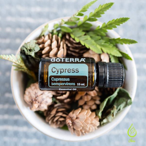 doTERRA Cypress